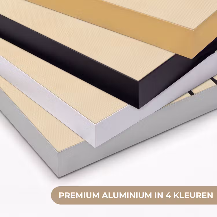 Zwart - Bladeren - Strepen - Minimalistisch Textielframe zwart klein -USP_kleurenNL