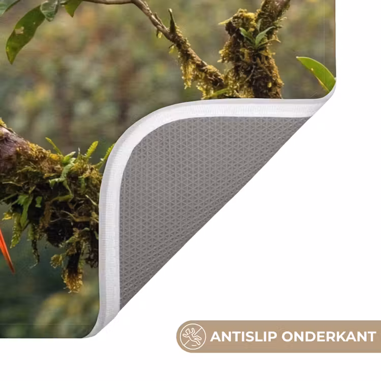 Ara - Jungle - Rood Badmat klein -USP_AntislipNL
