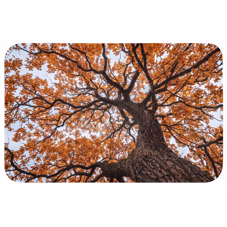 Boom - Bladerdak - Herfst - Oranje - Sfeervol Badmat middel -3d