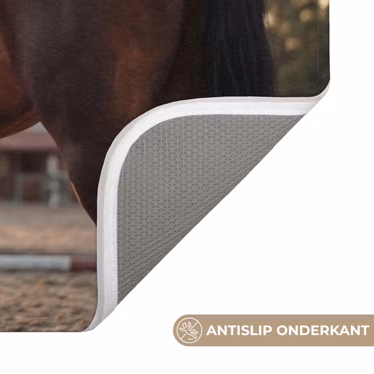 Harmonie - Ruiter - Zon Badmat klein -USP_AntislipNL