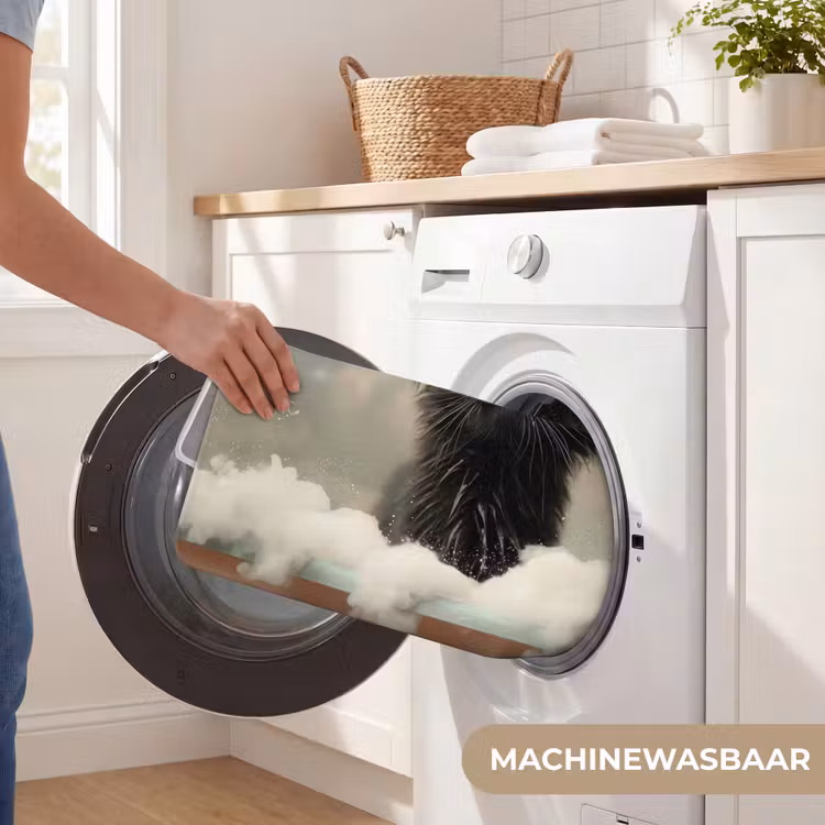 Kat - Bad - Zwart - Dieren - Schuim Badmat klein -USP_WasbaarNL