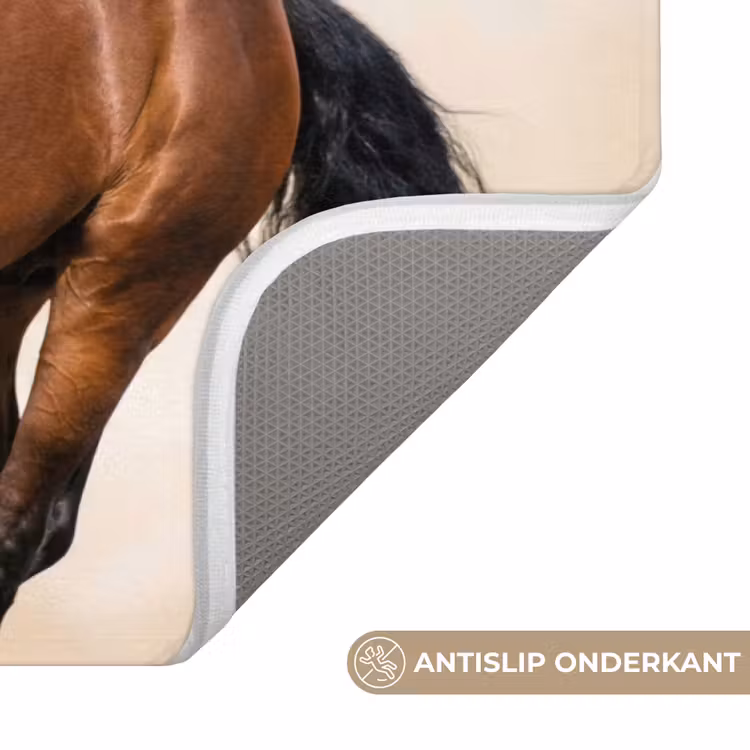 Paard - Galop - Energie Badmat klein -USP_AntislipNL