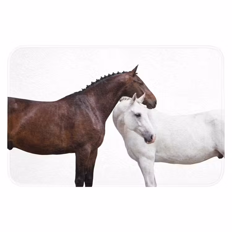 Paard - Modern - Balans Badmat klein -3d