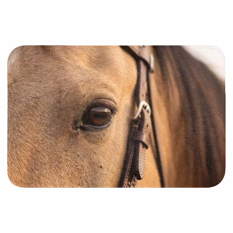 Paard - Oog - Bruin Badmat klein -3d