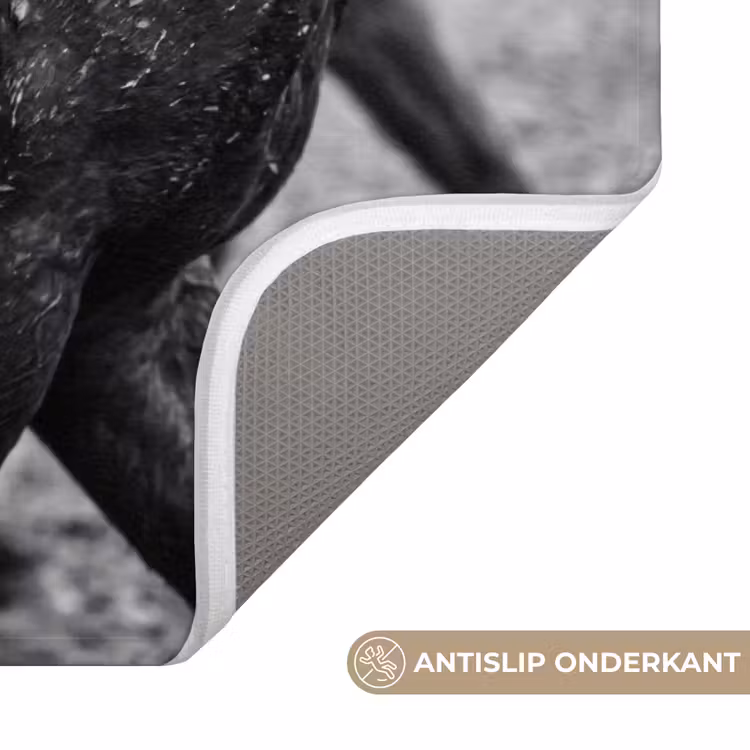 Paard - Sport - Zwart - Wit Badmat klein -USP_AntislipNL