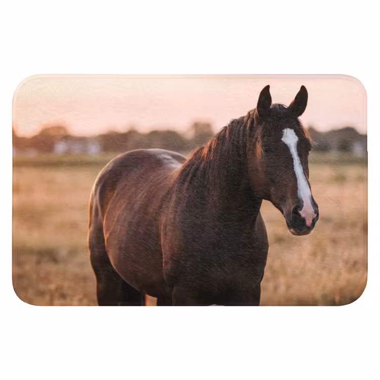 Paard - Zonsondergang - Bruin Badmat klein -3d