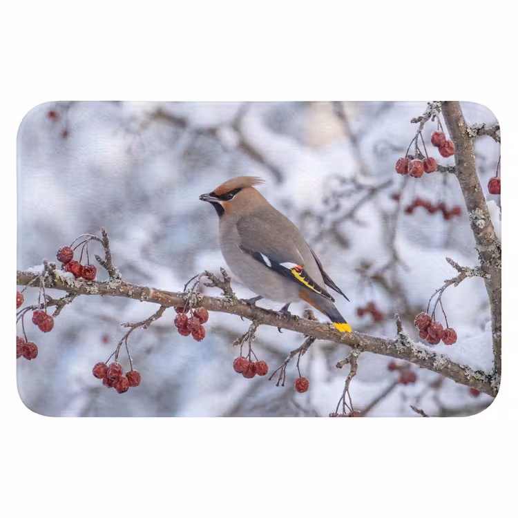 Pestvogel - Bessen - Winter - Natuur Badmat klein -3d