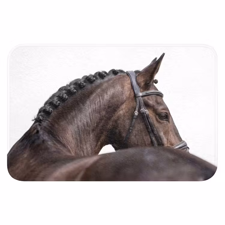 Portret - Paard - Elegant Badmat klein -3d