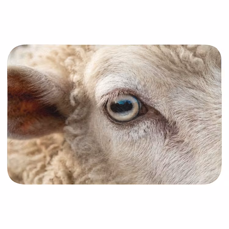 Schaap - Oog - Wit Badmat klein -3d
