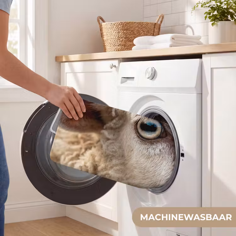 Schaap - Oog - Wit Badmat klein -USP_WasbaarNL