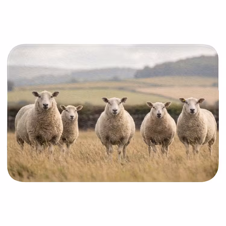 Schapen - Weidenlandschap - Heuvels Badmat klein -3d