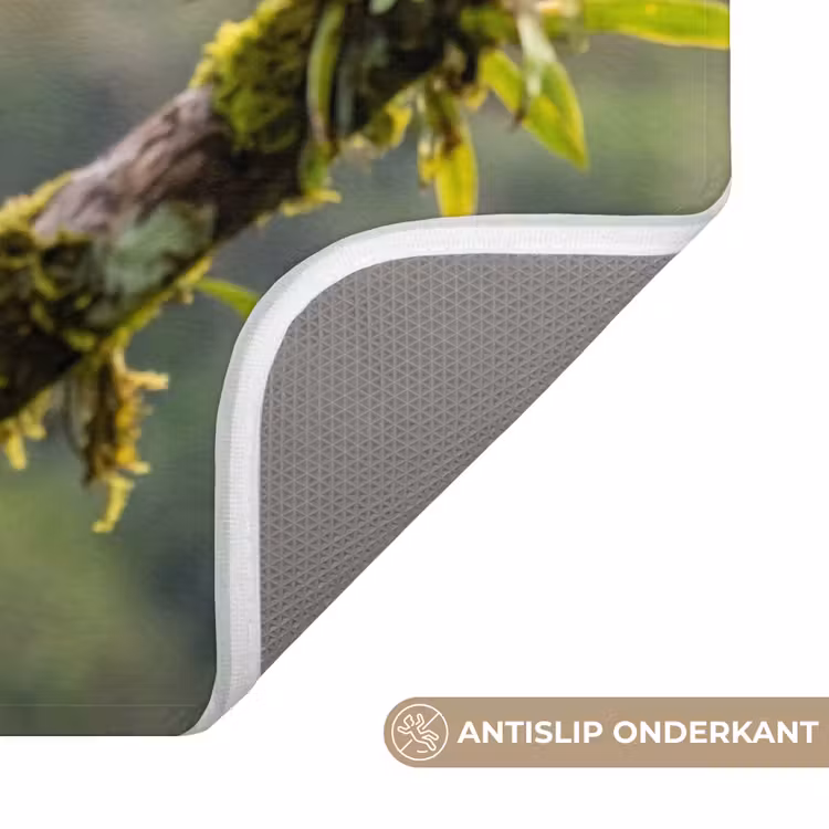 Toekan - Jungle - Natuur - Kleurrijk Badmat middel -USP_AntislipNL