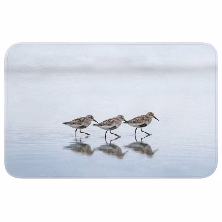 Vogels - Water - Grijs Badmat klein -3d