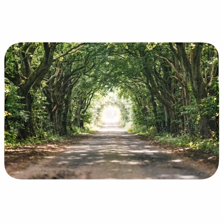 Weg - Bomen - Natuur - Groen Badmat klein -3d