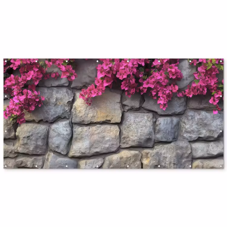 Bougainvillea - Stenen Muur - Roze Balkonbeschermer Duitsland klein -zz_3d