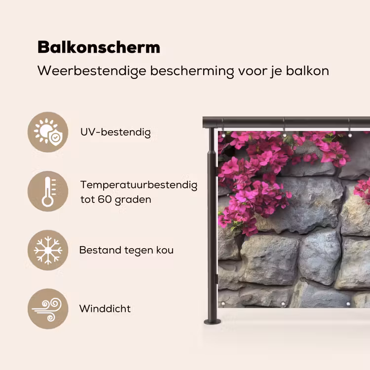 Bougainvillea - Stenen Muur - Roze Balkonbeschermer Duitsland klein -specs_NL