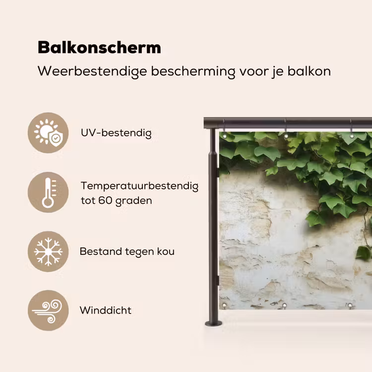 Klimop - Muur - Groen Balkonbeschermer Duitsland klein -specs_NL