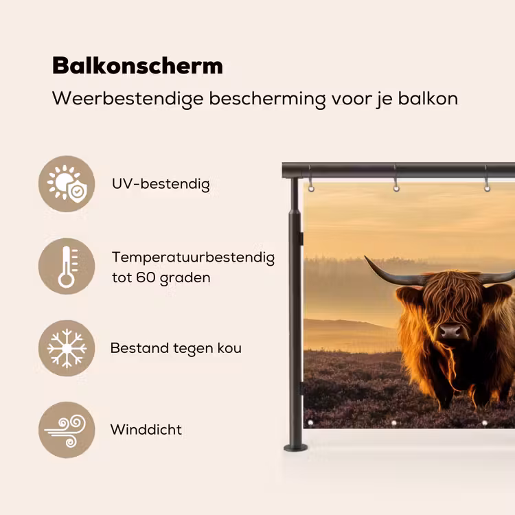 Schotse hooglanders - Heide - Landschap - Dieren Balkonbeschermer Duitsland klein -specs_NL