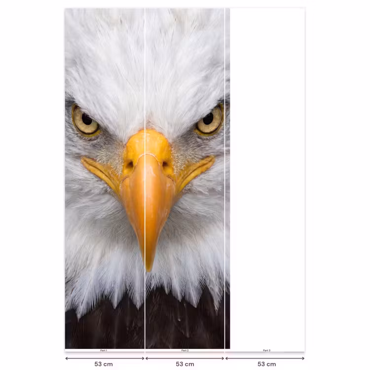 Amerikaans - Zeearend - Portret - Geel Behang Vlies klein -USP_banen