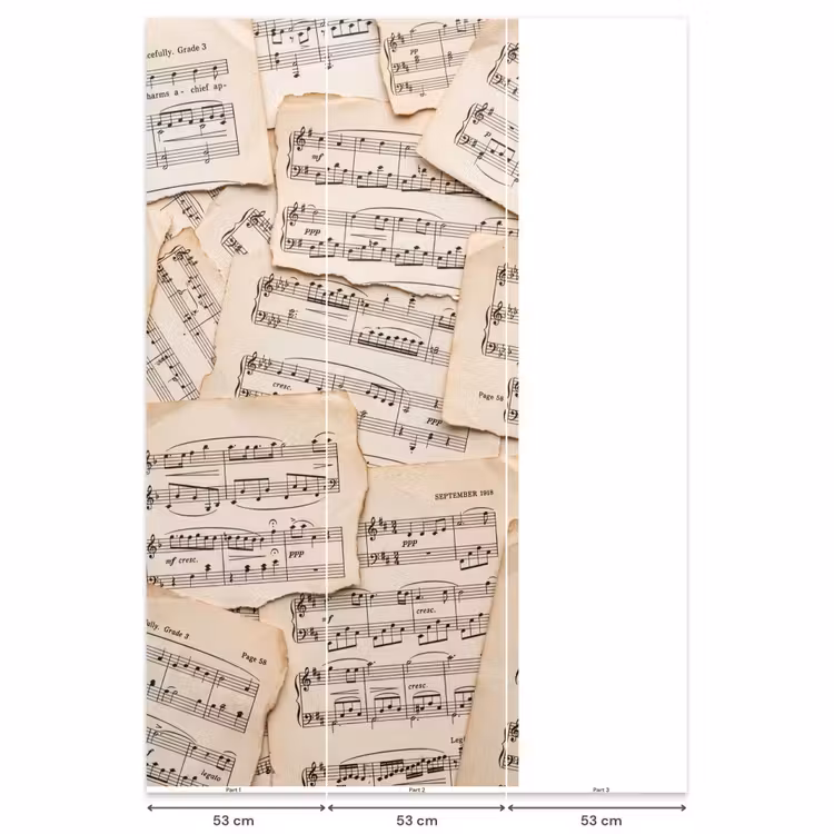 Bladmuziek - Oud - Noten - Vintage - Beige Behang Vlies klein -USP_banen