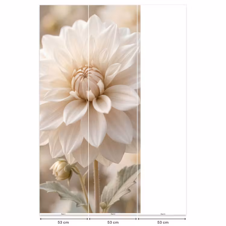 Bloem - Dahlia - Wit Behang Vlies klein -USP_banen