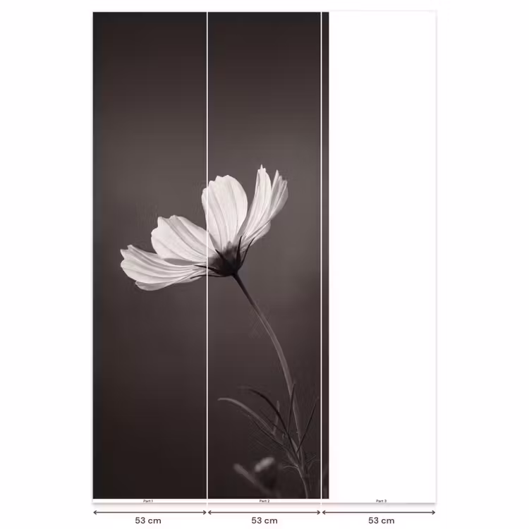 Bloem - Minimalistisch - Zwart - Wit Behang Vlies klein -USP_banen