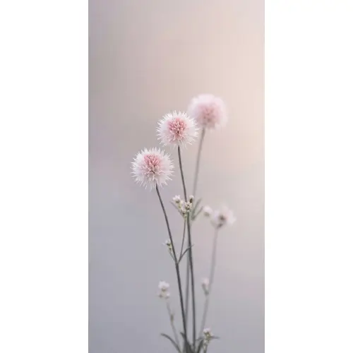 Bloemen - Bollen - Roze Behang Vlies klein -3d_website
