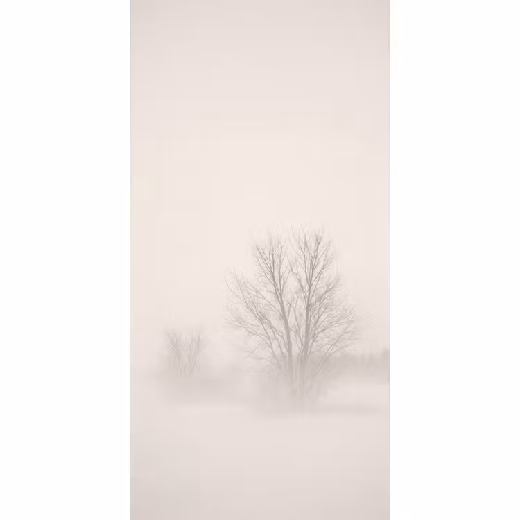 Boom - Mist - Sneeuw - Winter - Minimalistisch Behang Vlies klein -3d_website