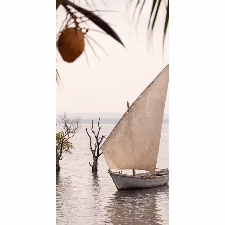 Boot - Zeil - Water - Tropisch - Natuur Behang Vlies klein -3d_website