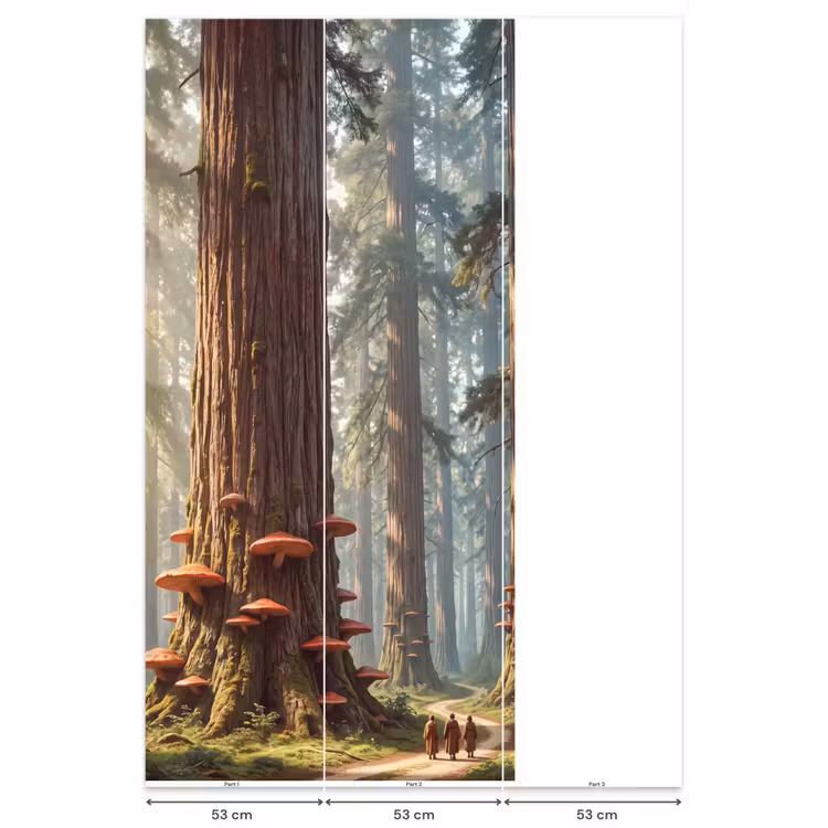 Behang - Bos - Bomen - Natuur - Bos - Bomen - Natuur Behang Vlies klein