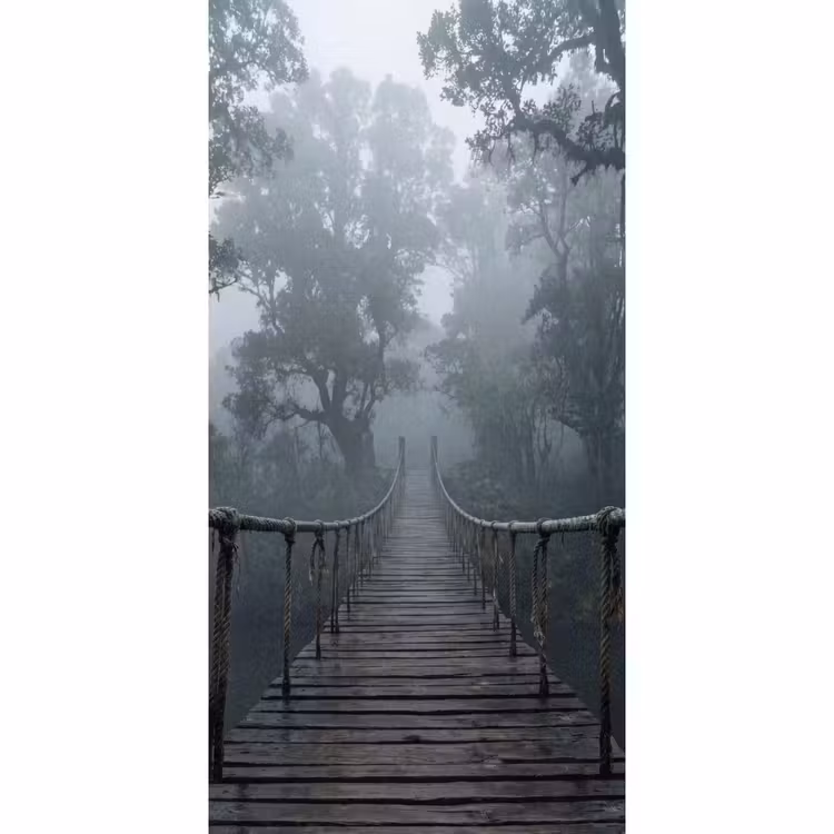 Brug - Jungle - Mist - Natuur Behang Vlies klein -3d_website