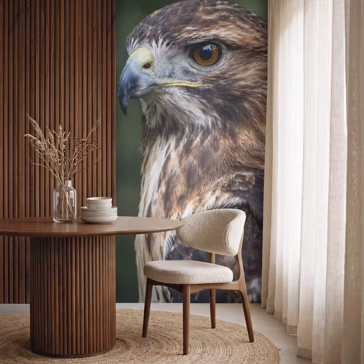 Buizerd - Roofvogel - Natuur - Bruin Behang Vlies klein -sfeer1