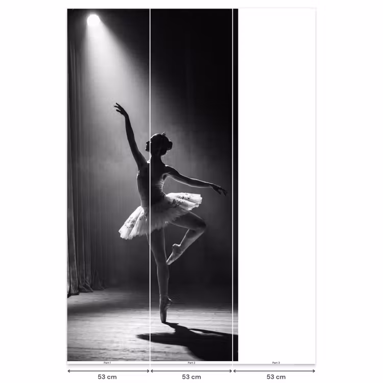 Danser - Podium - Zwart-wit - Kunst - Klassiek Behang Vlies klein -USP_banen