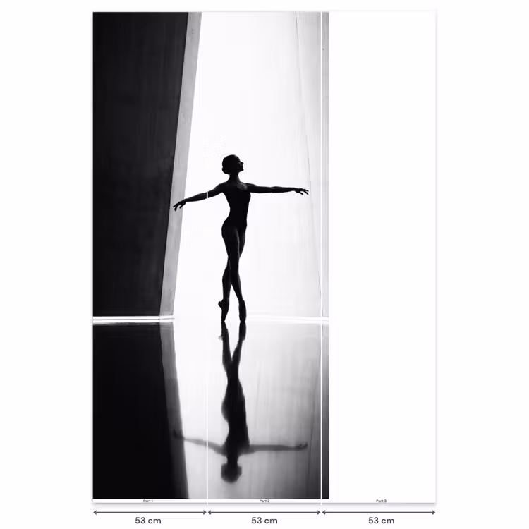 Danser - Silhouette - Kunst - Modern - Zwart-wit Behang Vlies klein -USP_banen