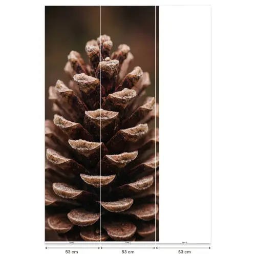 Dennenappel - Bos - Herfst - Bruin - Sfeervol Behang Vlies klein -USP_banen