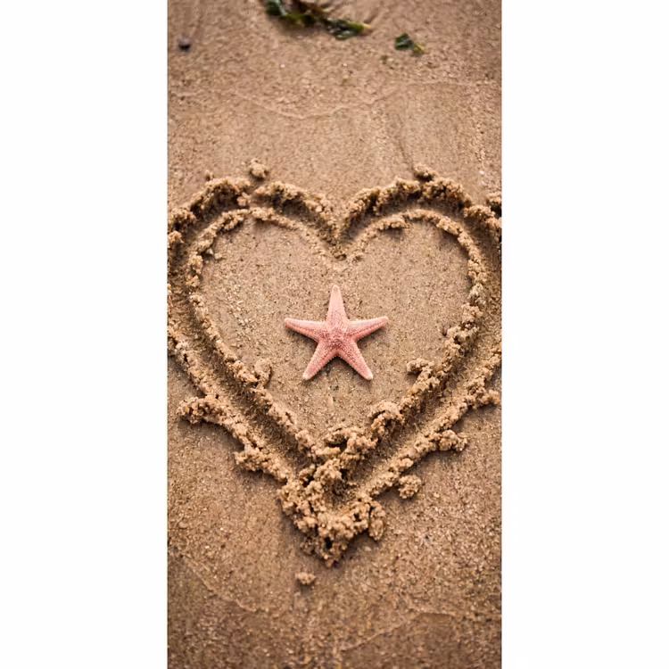 Dieren - Hart - Strand - Zand - Roze Behang Vlies klein -3d_website