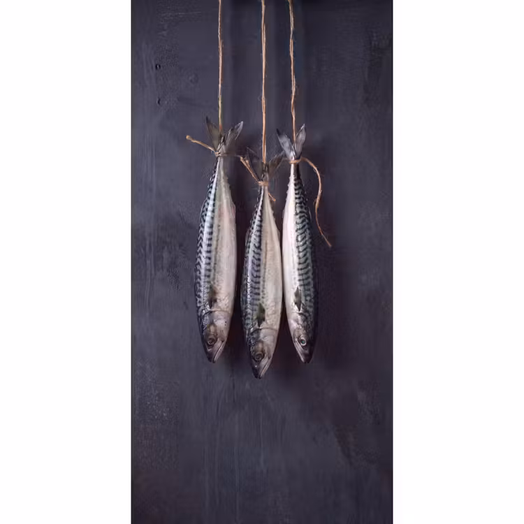 Behang - Drie vissen - Touw - Drie vissen - Touw Behang Vlies klein
