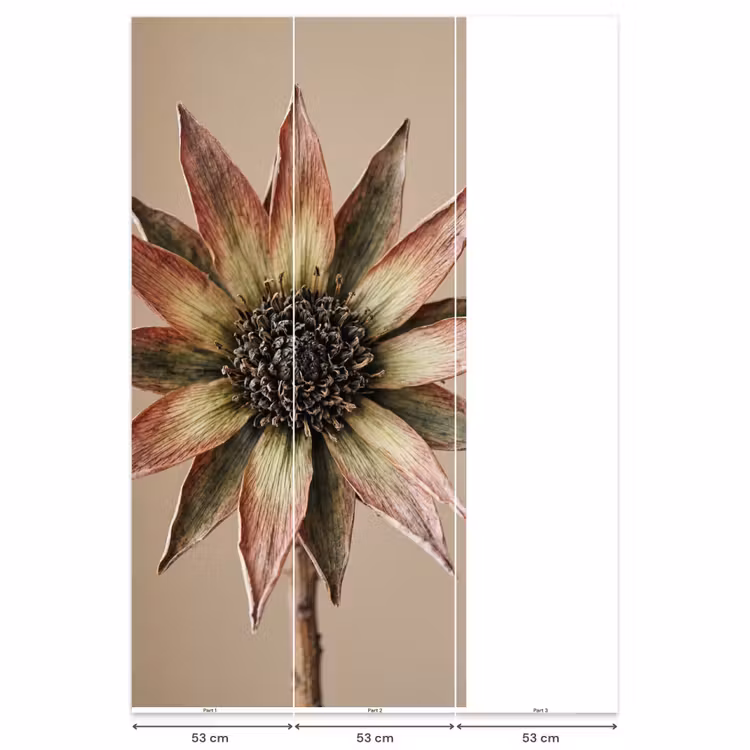 Droogbloem - Protea - Vintage - Beige - Rustiek Behang Vlies klein -USP_banen