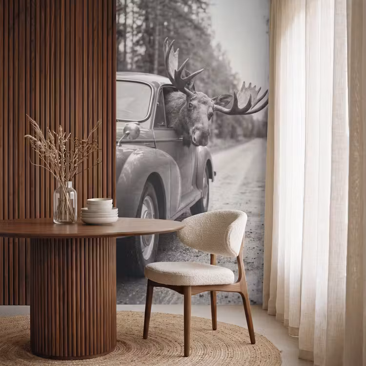 Eland - Auto - Gewei - Zwart - Wit Behang Vlies klein -sfeer1