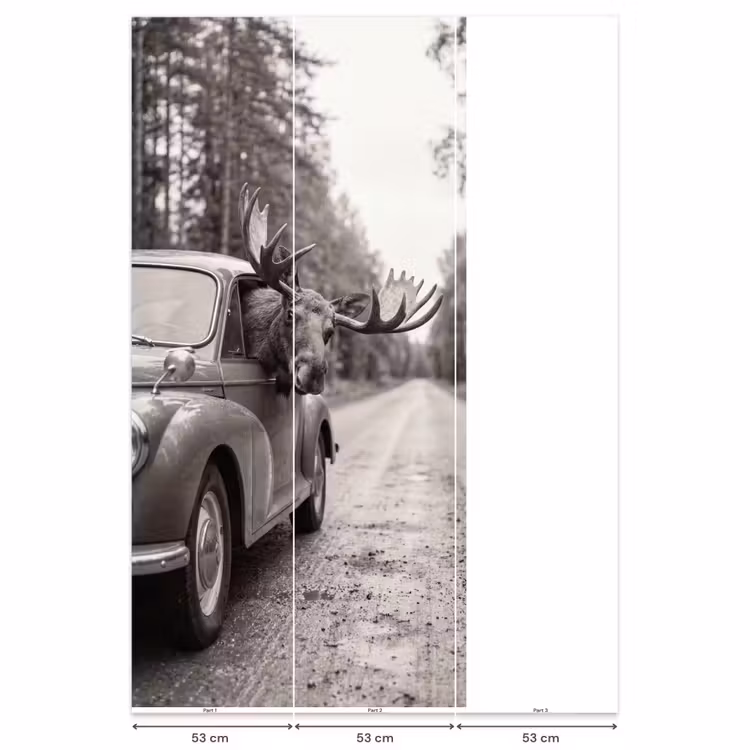 Eland - Auto - Gewei - Zwart - Wit Behang Vlies klein -USP_banen
