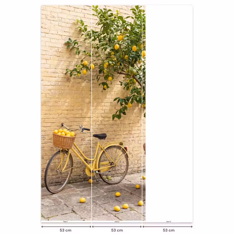 Fiets - Mand - Eten - Geel - Zomer Behang Vlies klein -USP_banen
