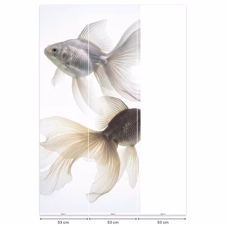 Goudvissen - Modern - Wit Behang Vlies klein -USP_banen