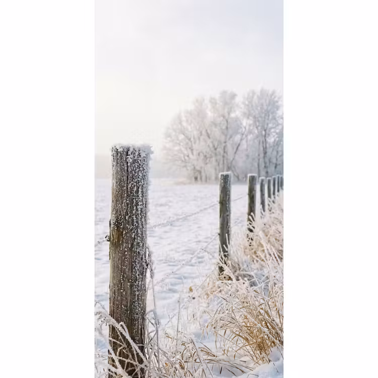 Hek - Sneeuw - Mist - Platteland - Nostalgisch Behang Vlies klein -3d_website