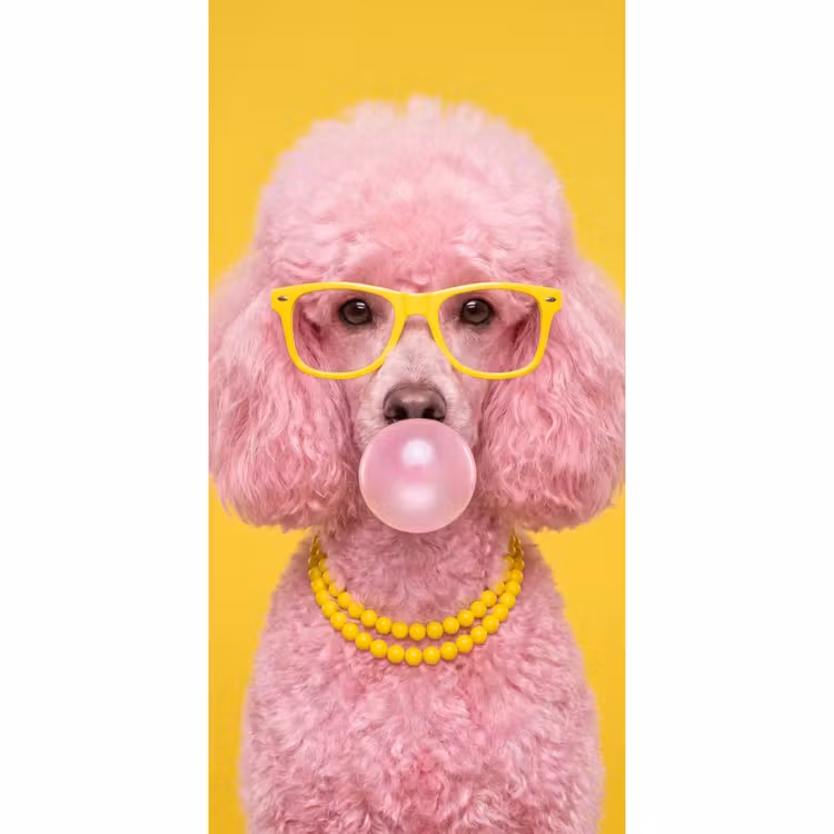 Hond - Kauwgum - Dieren - Modern - Roze Behang Vlies klein -3d_website