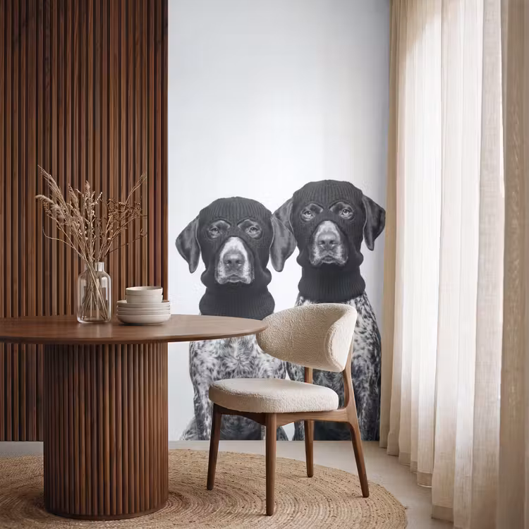 Honden - Bivakmuts - Zwart - wit Behang Vlies klein -sfeer1