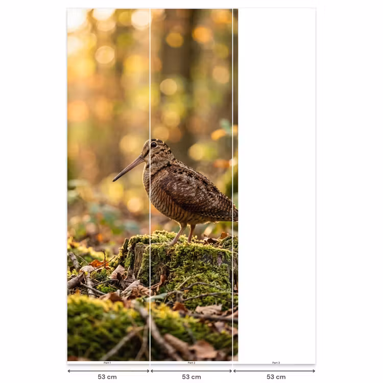 Houtsnip - Bos - Bladeren - Herfst - Gecamoufleerd Behang Vlies klein -USP_banen