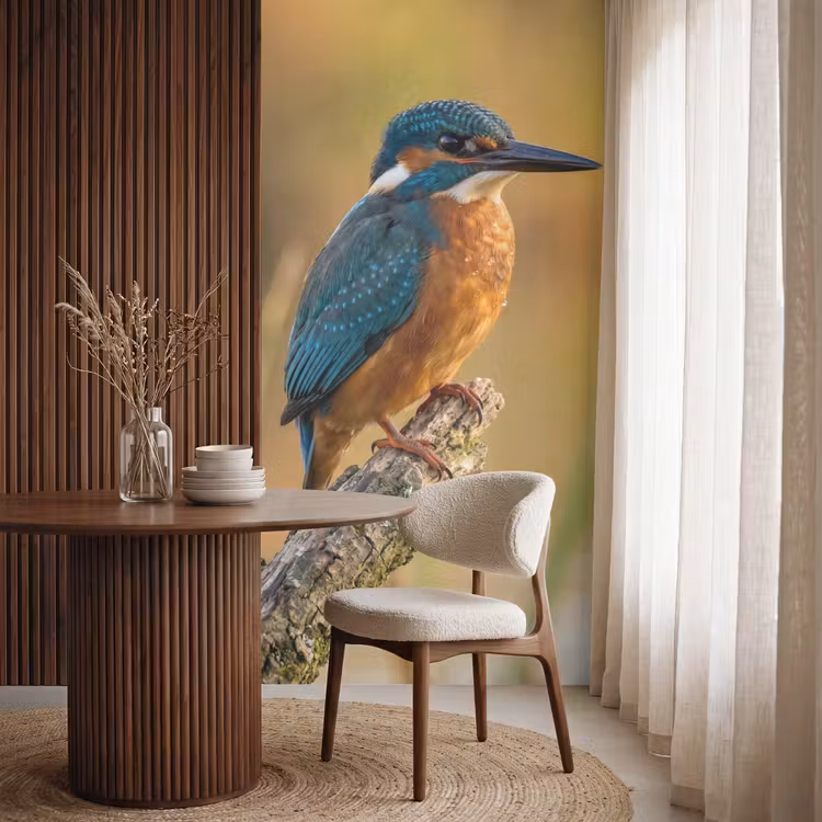 IJsvogel - Tak - Water - Kleurrijk - Levendig Behang Vlies klein -sfeer1