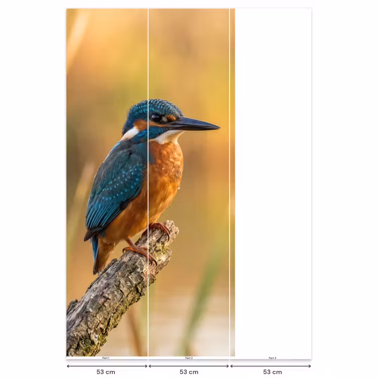IJsvogel - Tak - Water - Kleurrijk - Levendig Behang Vlies klein -USP_banen