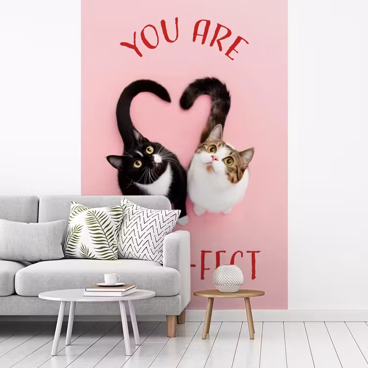Kat - Hart - Tekst - Valentijn fotobehang vinyl groot -woonkamer