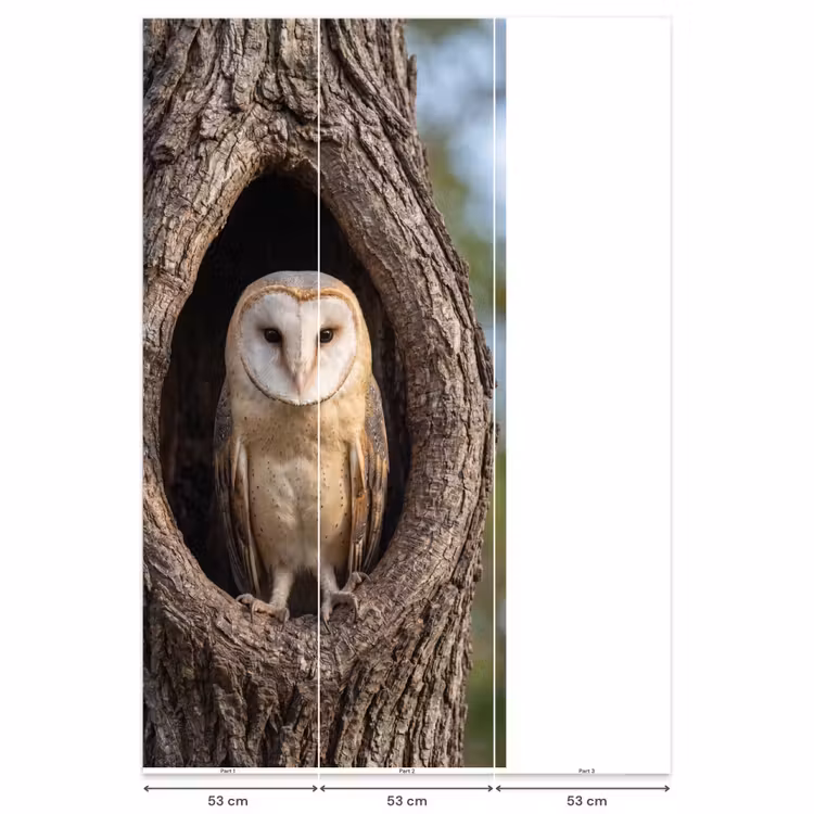 Kerkuil - Boom - Natuur - Bruin Behang Vlies klein -USP_banen